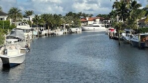 Un puerto deportivo con barcos amarrados a lo largo de una vía fluvial tranquila, rodeado de palmeras y edificios.