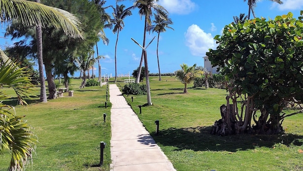 A pathway lined with palm trees and a grassy area, leading towards a distant building. - Condo - 2 beds with WiFi, AC, Pool and Oceanfront in charming Frigate Bay. (Frigate Bay)