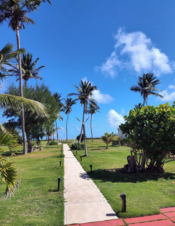 Overnattingsstedets uteområder