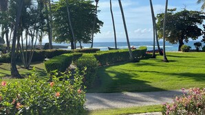 Ein gepflegter Garten mit Palmen, einem Weg und Blick auf das Meer.