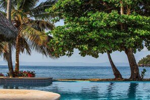 Une vue sur la piscine, avec une vue dégagée sur la mer, les palmiers et une structure dotée d’un toit de chaume.