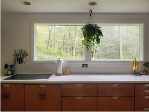 Fridge, microwave, oven, stovetop - ​Bright and Spacious Secluded Forest Home with Sprawling Yard and Private Brook (Cornwall)