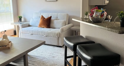 Charming 1-bedroom condo with WiFi, AC in brilliant Dallas