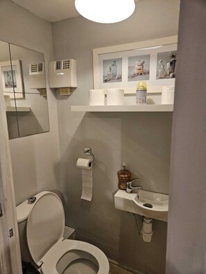 Soap, shampoo, toilet paper - 3-bedroom house in Salford (Salford)