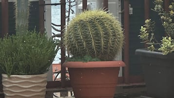 Facciata della struttura
