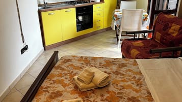 Classic Apartment | 1 bedroom, free WiFi