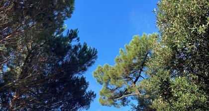 Family home in the heart of the Arcachon Basin