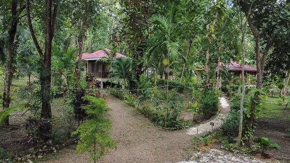 A rustic lodge with a dirt path leading to a wooden structure with a red roof, surrounded by dense tropical vegetation.