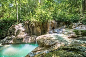 A natural rock formation with a clear pool of water, surrounded by dense forest.