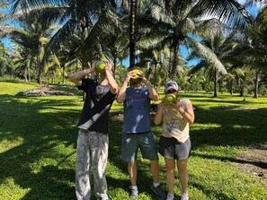 Three people holding coconuts in a grassy area with palm trees in the background.
