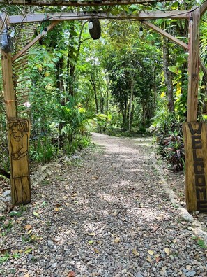 A gravel pathway leading through a wooden pergola surrounded by lush greenery.