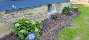 Detalle exterior