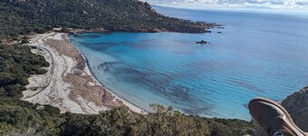 T2 rental with infinity pool sea view South Corsica
