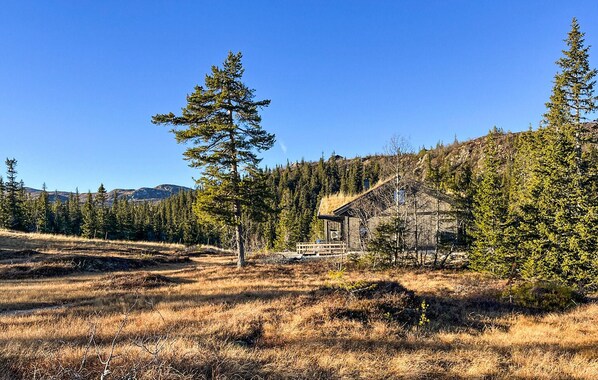 A rustic cabin surrounded by dense forest and mountains. - Amazing home in Flå with sauna (Flå)