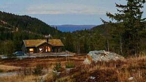 Un chalet rustique à toit de chaume, entouré d’un paysage boisé et offrant une vue sur des montagnes lointaines.