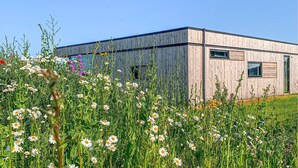Un bâtiment moderne à l’extérieur en bois, entouré d’un champ de marguerites et d’autres fleurs sauvages.