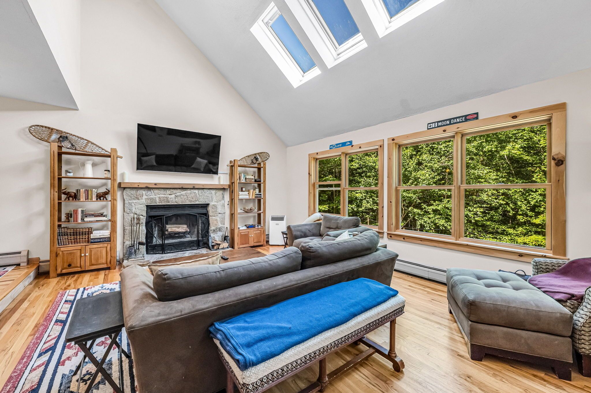 Smart TV, fireplace, books