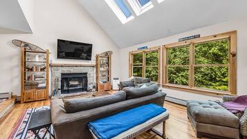 Smart TV, fireplace, books