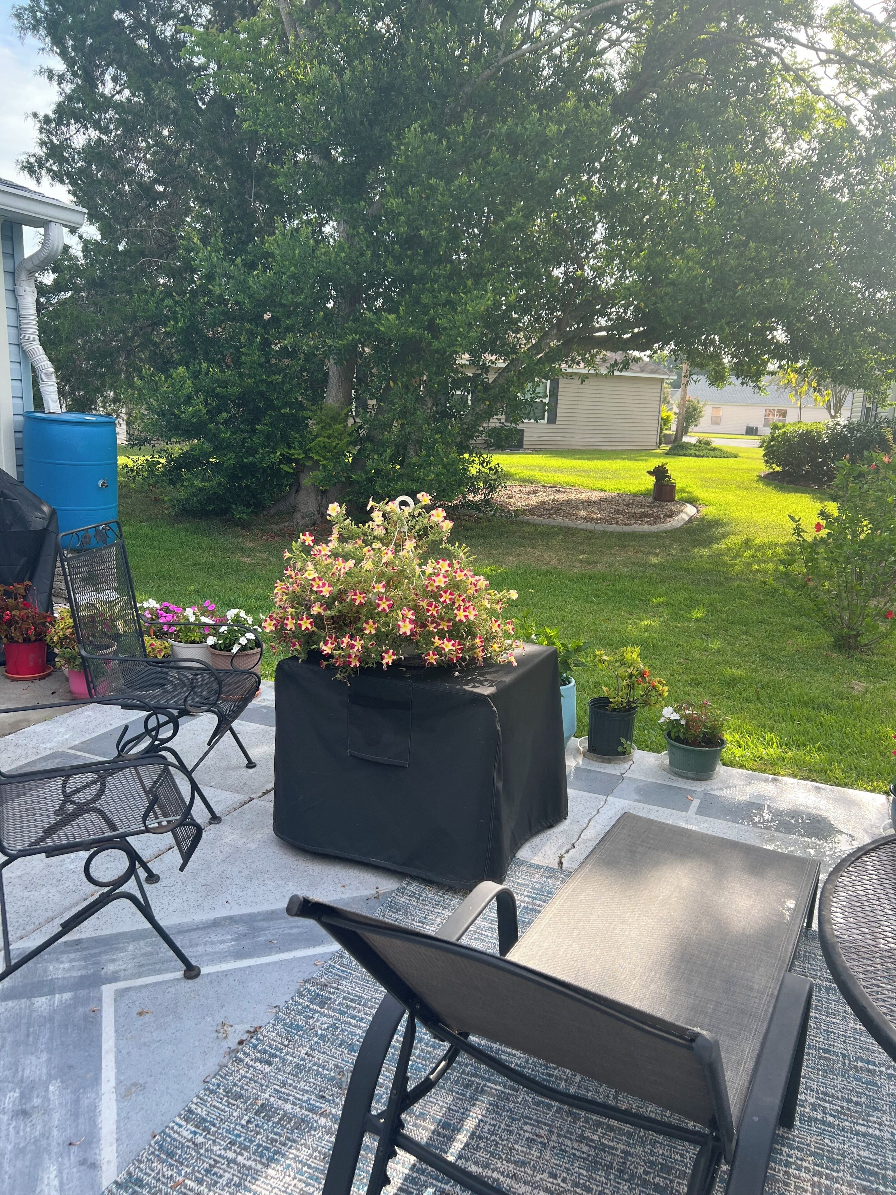 テラス / パティオ