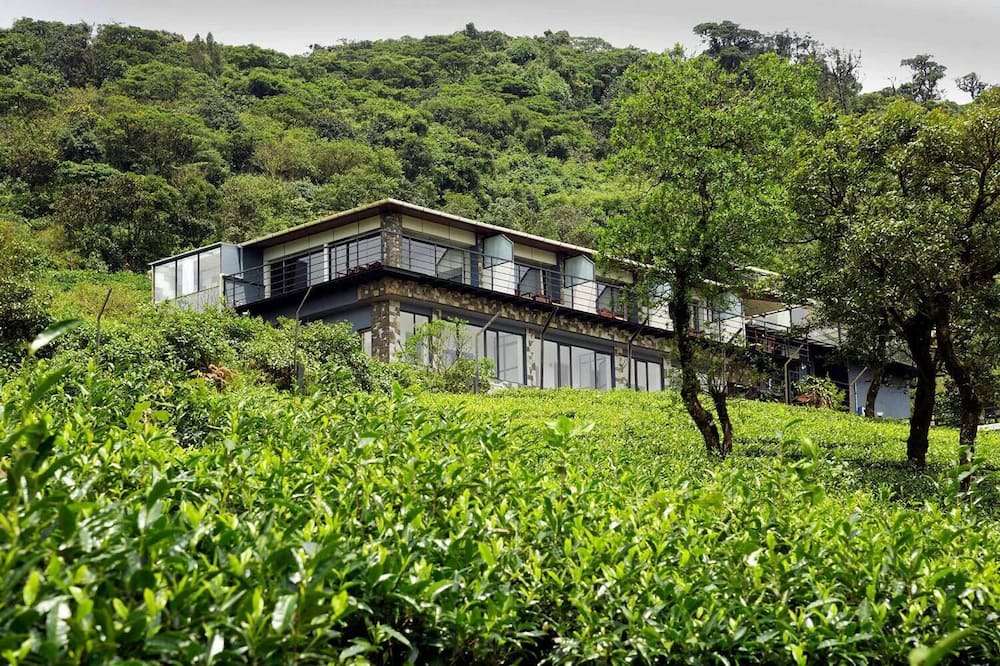 Ibex Resorts, Valparai (Tale Rock)