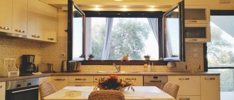 Fridge, oven, stovetop, dishwasher