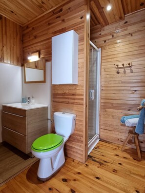 Regadera, secadora de cabello, toallas 