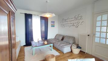 TV, fireplace, video games, DVD player