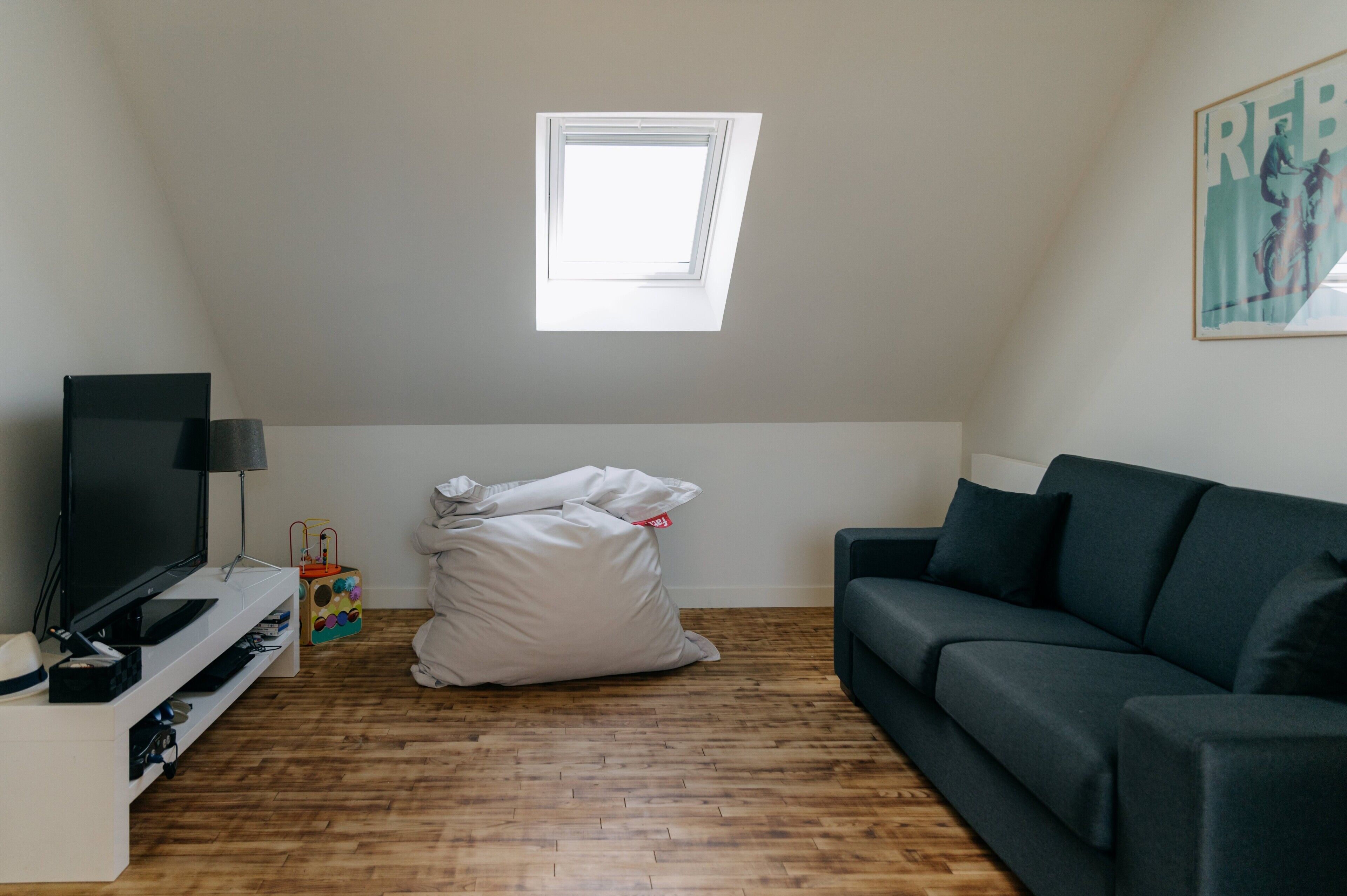 Télévision, cheminée, jeux vidéo, lecteur de DVD