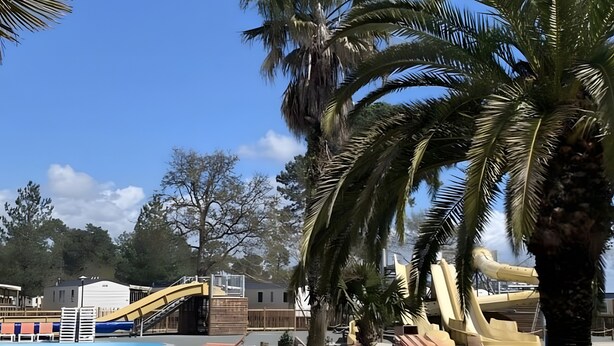 A pool area with lounge chairs, palm trees, and a water slide. - The Bassin Cabin – 3-Bedroom Mobile Home with Terrace and Pool (Lège-Cap-Ferret)
