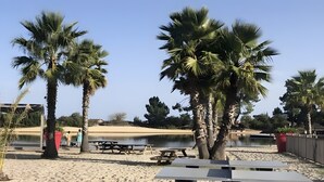 A beach area with palm trees, picnic tables, and a calm water body. - The Bassin Cabin – 3-Bedroom Mobile Home with Terrace and Pool (Lège-Cap-Ferret)