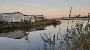 A row of mobile homes by a calm body of water with tall grasses in the foreground. - The Bassin Cabin – 3-Bedroom Mobile Home with Terrace and Pool (Lège-Cap-Ferret)