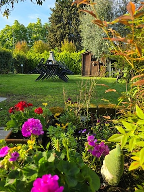 Área da propriedade