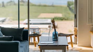 TV, fireplace, DVD player