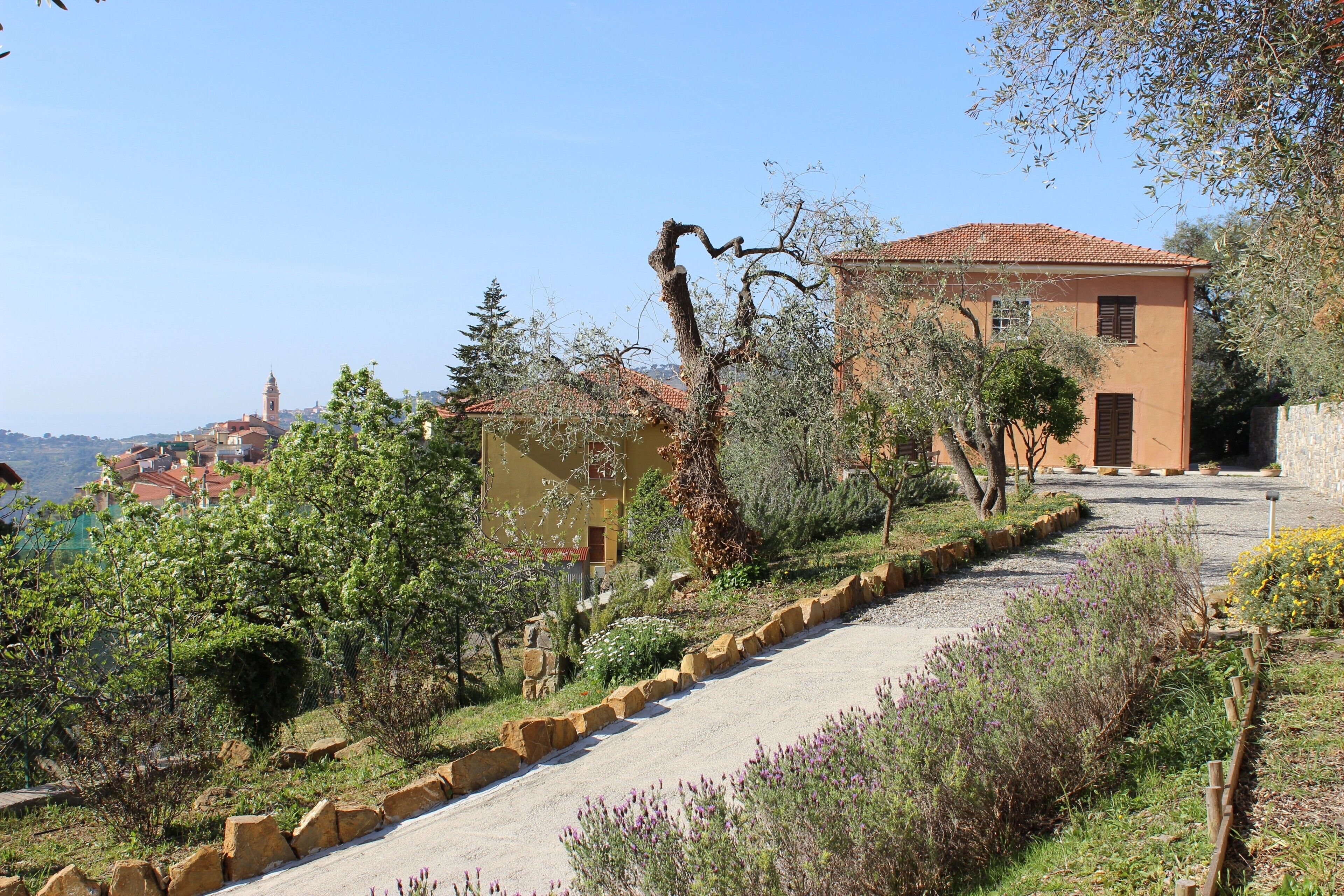 Terrain de l’hébergement 