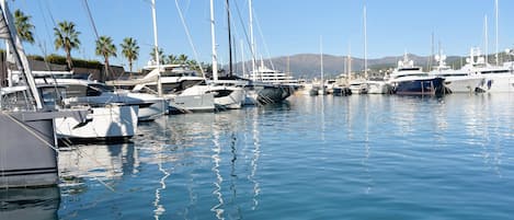 Marina