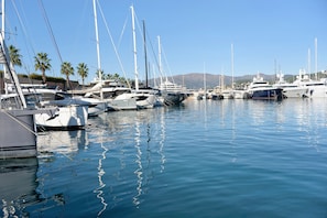 Ein Yachthafen mit mehreren dort angestückten Yachten, ruhigem Wasser und Palmen im Hintergrund.