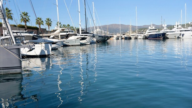 Un puerto deportivo con varios yates amarrados, agua tranquila y palmeras al fondo.