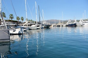 Un puerto deportivo con varios yates amarrados, agua tranquila y palmeras al fondo.
