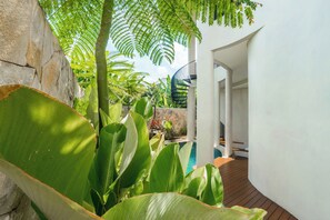 Un bâtiment moderne doté d’une piscine, entouré de grandes plantes vertes et d’un mur en pierre.