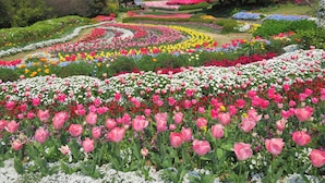 Garden - Nokonoshima Island Park Villa Sakimori (Fukuoka)
