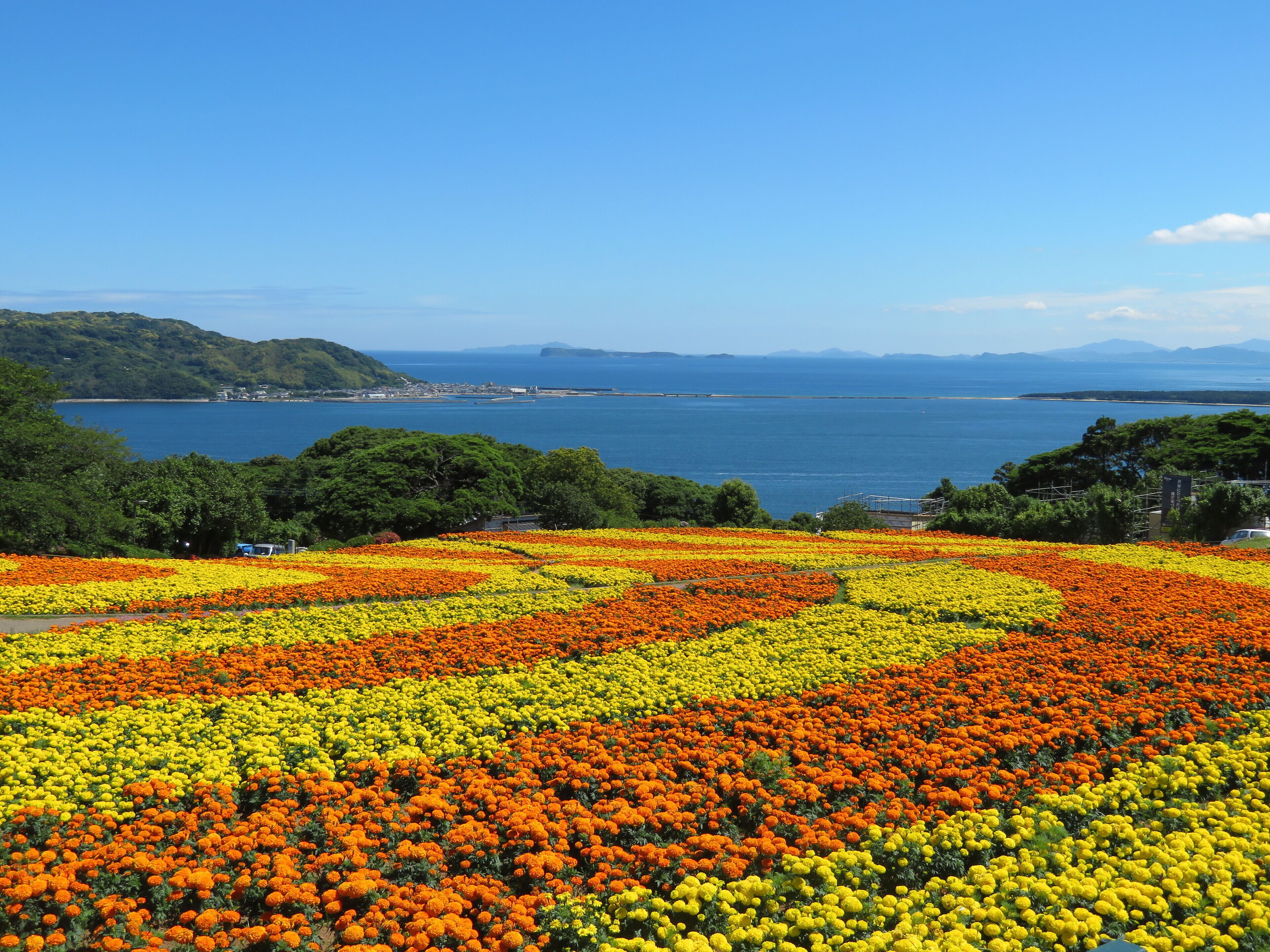 庭園