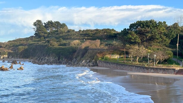 Ein Strand mit Wellen, einer Steinmauer und Bäumen im Hintergrund.