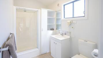 Une salle de bain avec douche, toilettes et lavabo.