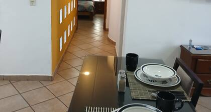 Amplia y comoda Suite en el centro de la ciudad.