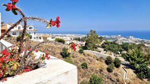 A coastal town with a view of the sea, featuring residential buildings, a road, and a cactus plant with red flowers.