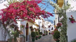 A narrow street lined with white buildings, potted plants, and hanging flowers. - SR Wellingtonia Estepona Downtown (Estepona)