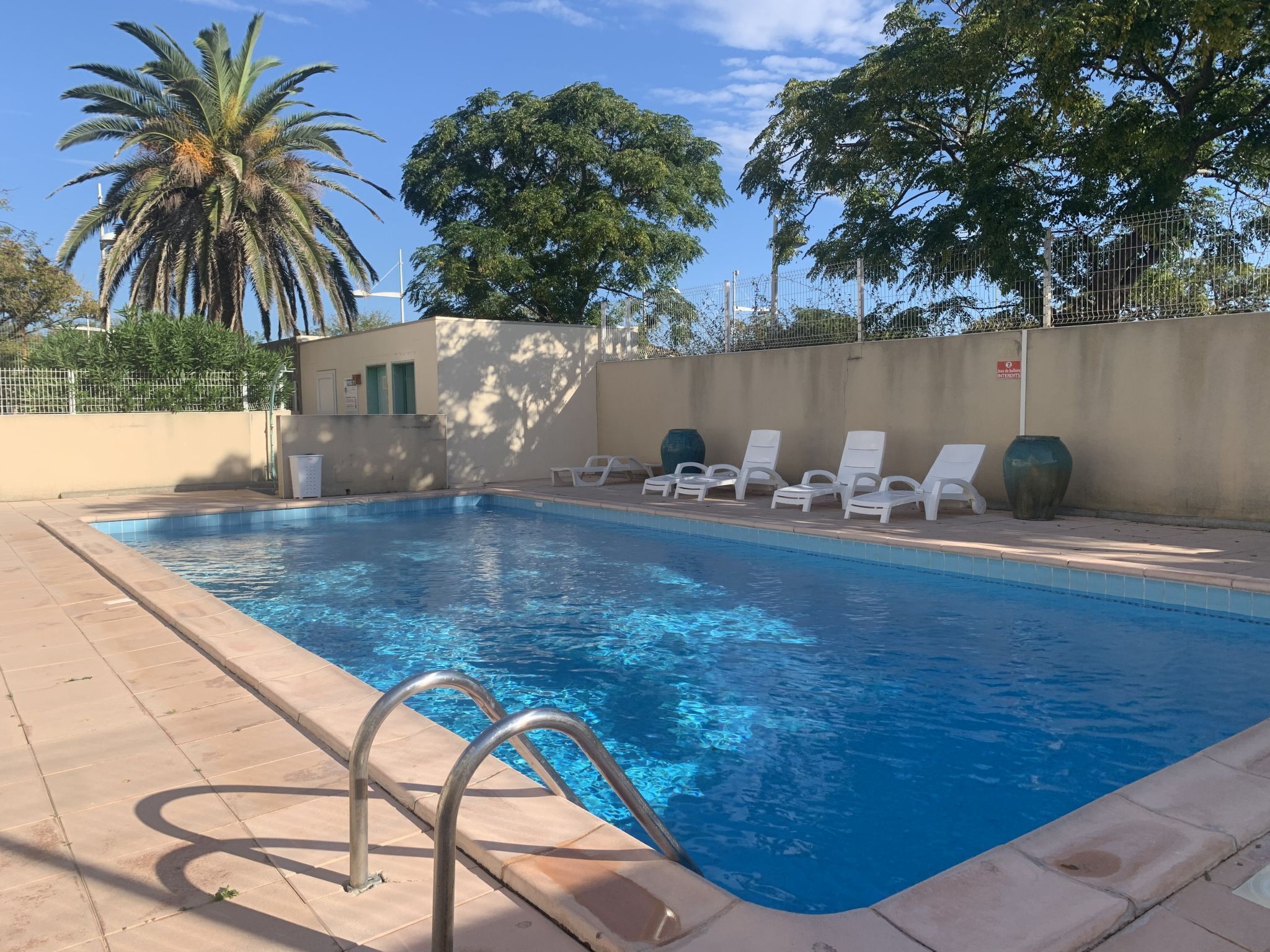 A swimming pool with clear blue water, surrounded by lounge chairs and a palm tree.