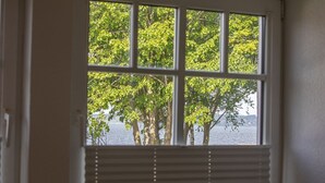 Una ventana con persianas, vista a árboles y un cuerpo de agua.