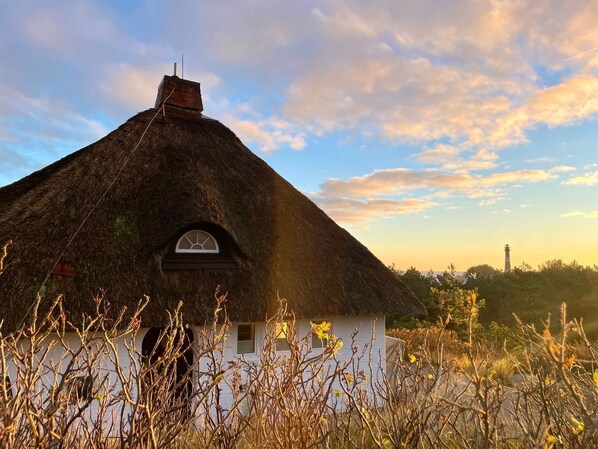 Imagen sin descripción, 1 de 29, botón