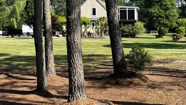 Una casa con un ampio prato, circondata da alberi alti.